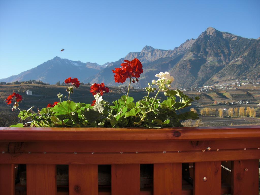 Garni Unterhaslerhof Bed & Breakfast Merano Rom bilde