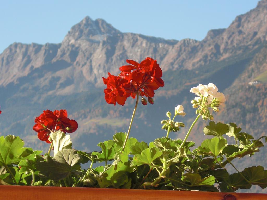 Garni Unterhaslerhof Bed & Breakfast Merano Rom bilde