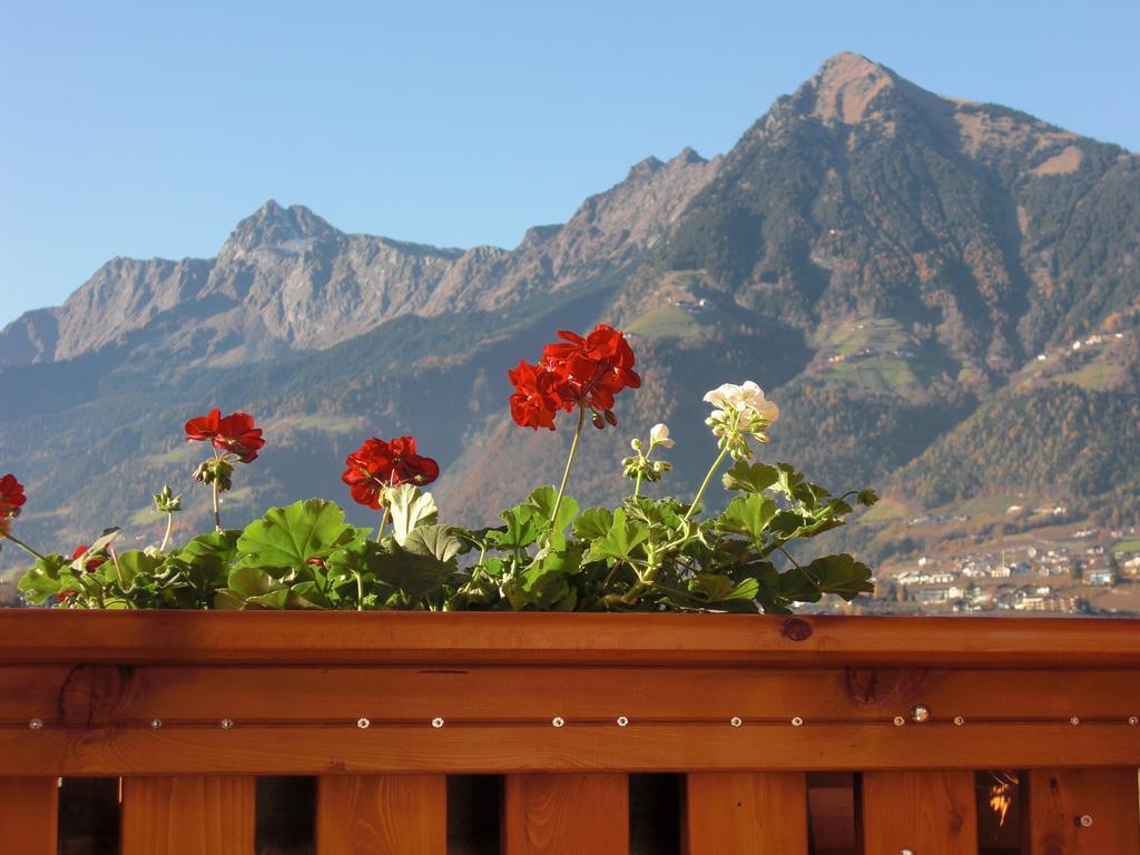 Garni Unterhaslerhof Bed & Breakfast Merano Rom bilde