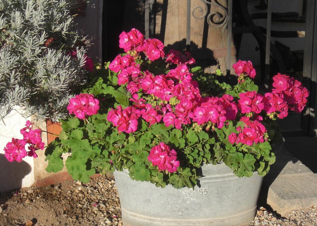 Garni Unterhaslerhof Bed & Breakfast Merano Eksteriør bilde